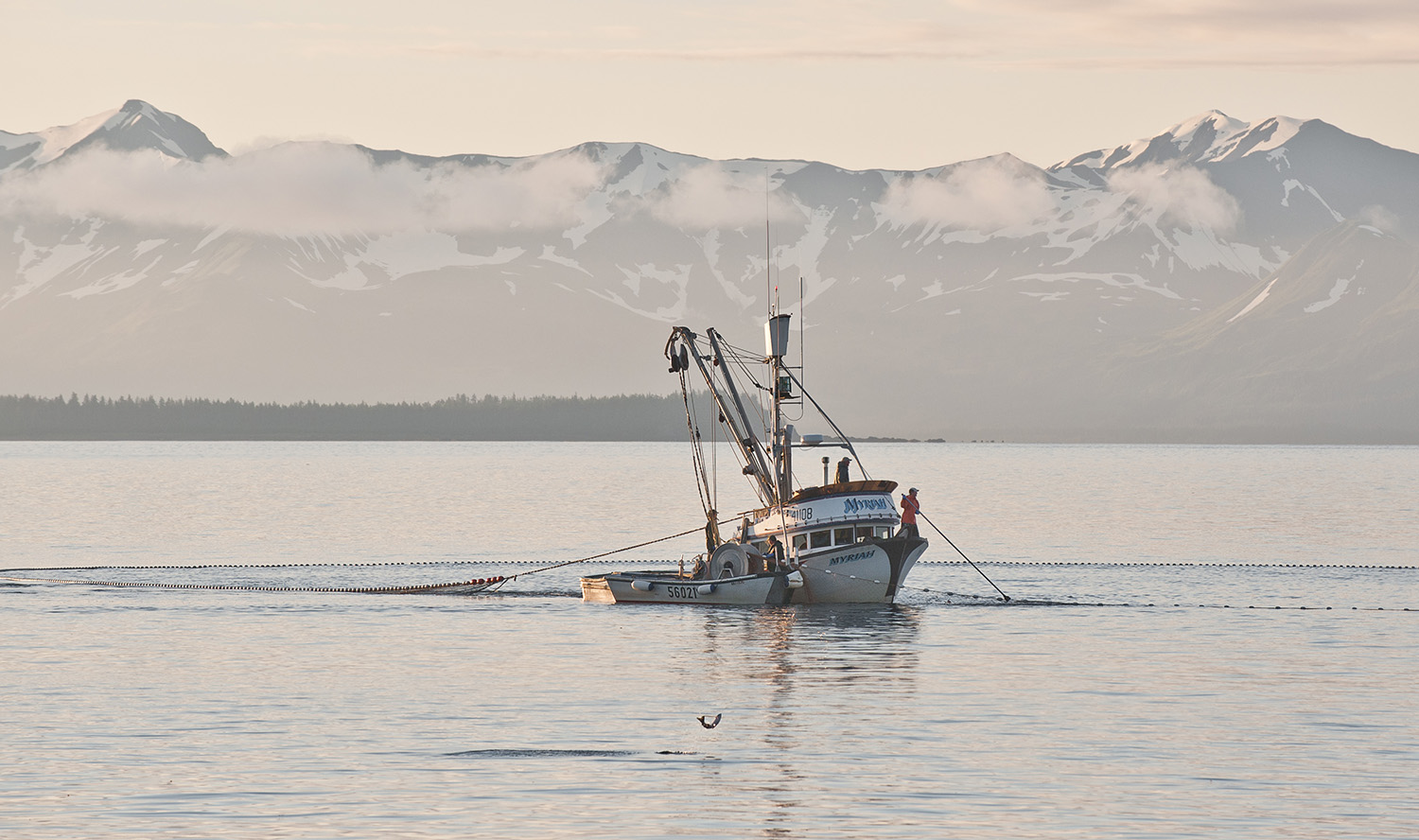 Alaska commercial fishing photos