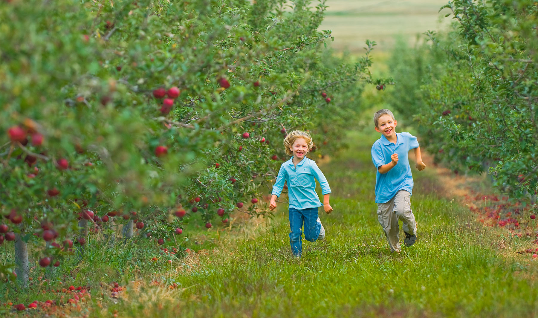 Children running in field of apples
