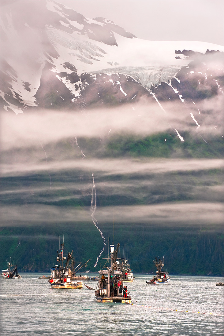 Valdez Alaska Commercial salmon fishing Joshua Roper Photography